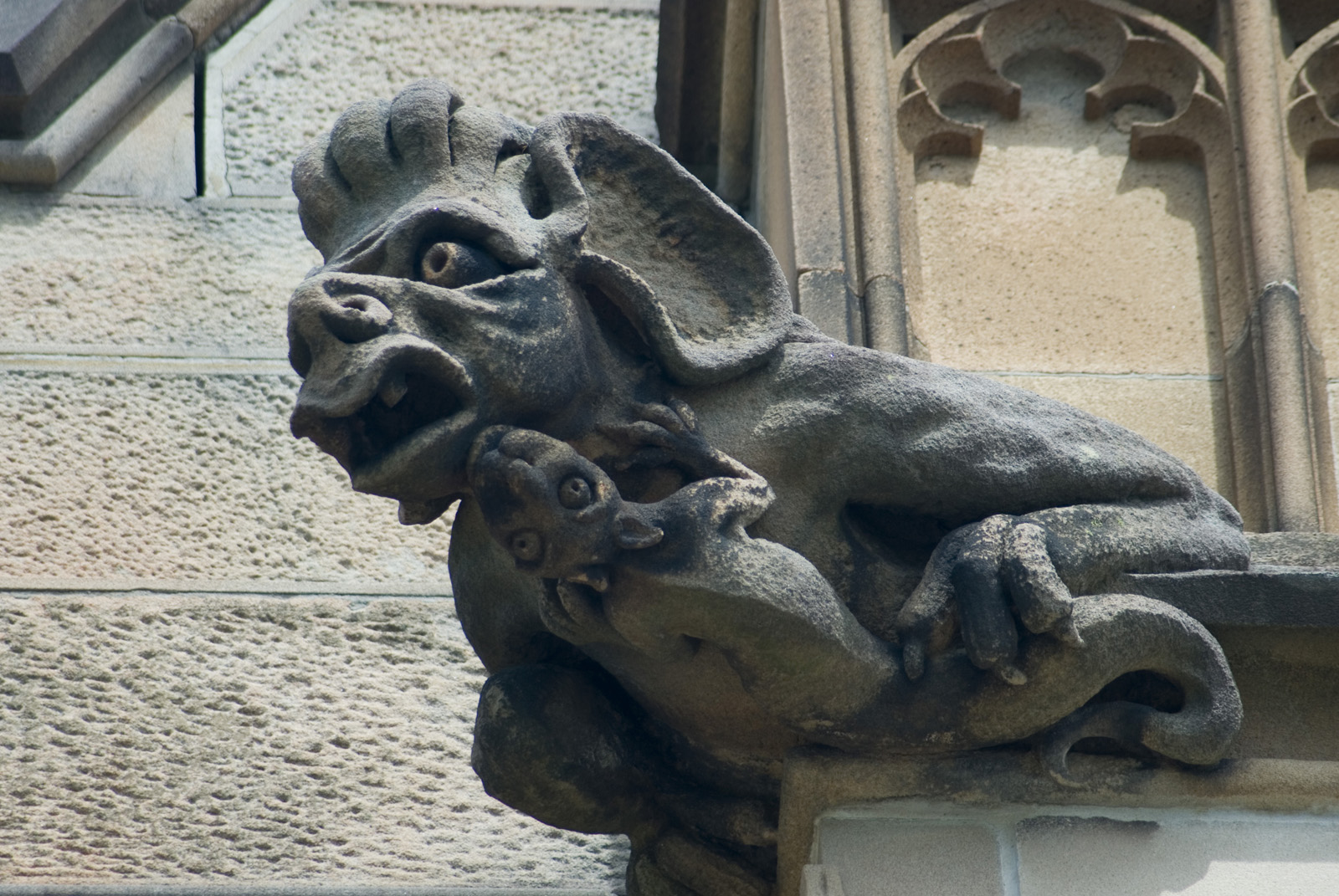 Gargoyles Origine Storia E Mistero Svelati