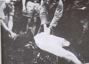 Soldato ustasha sorride mentre decapita un prigionero con un'ascia