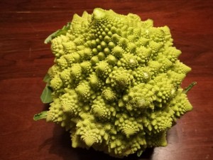 IMG-20180304-WA0017