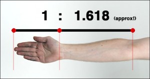 arm golden ratio