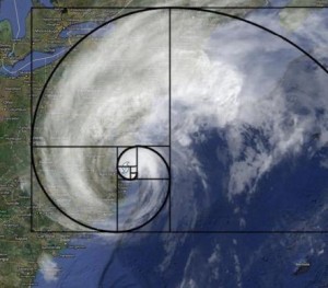 hurricane and fibonacci spiral
